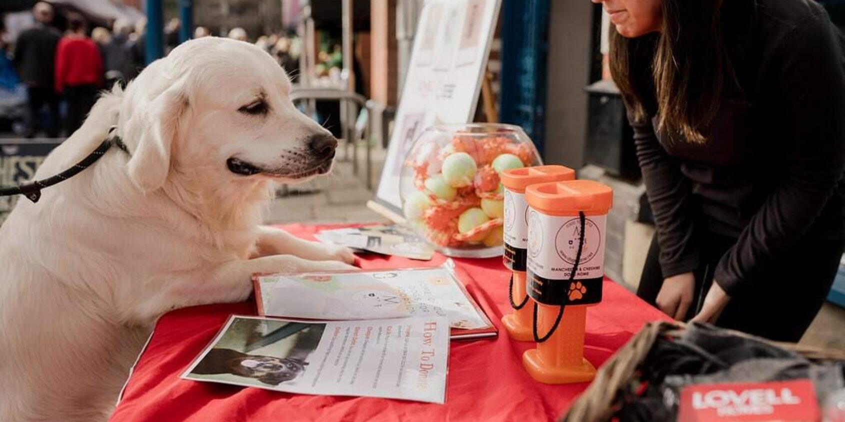 Furry friends at Lovell Homes Home for Life stand photo credit Soraya Evans 1024x683