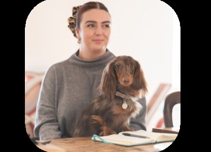 Pets at work