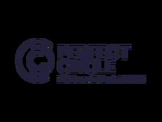 Perfect Circle logo navy