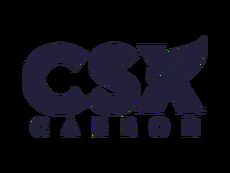 CSX carbon logo navy copy
