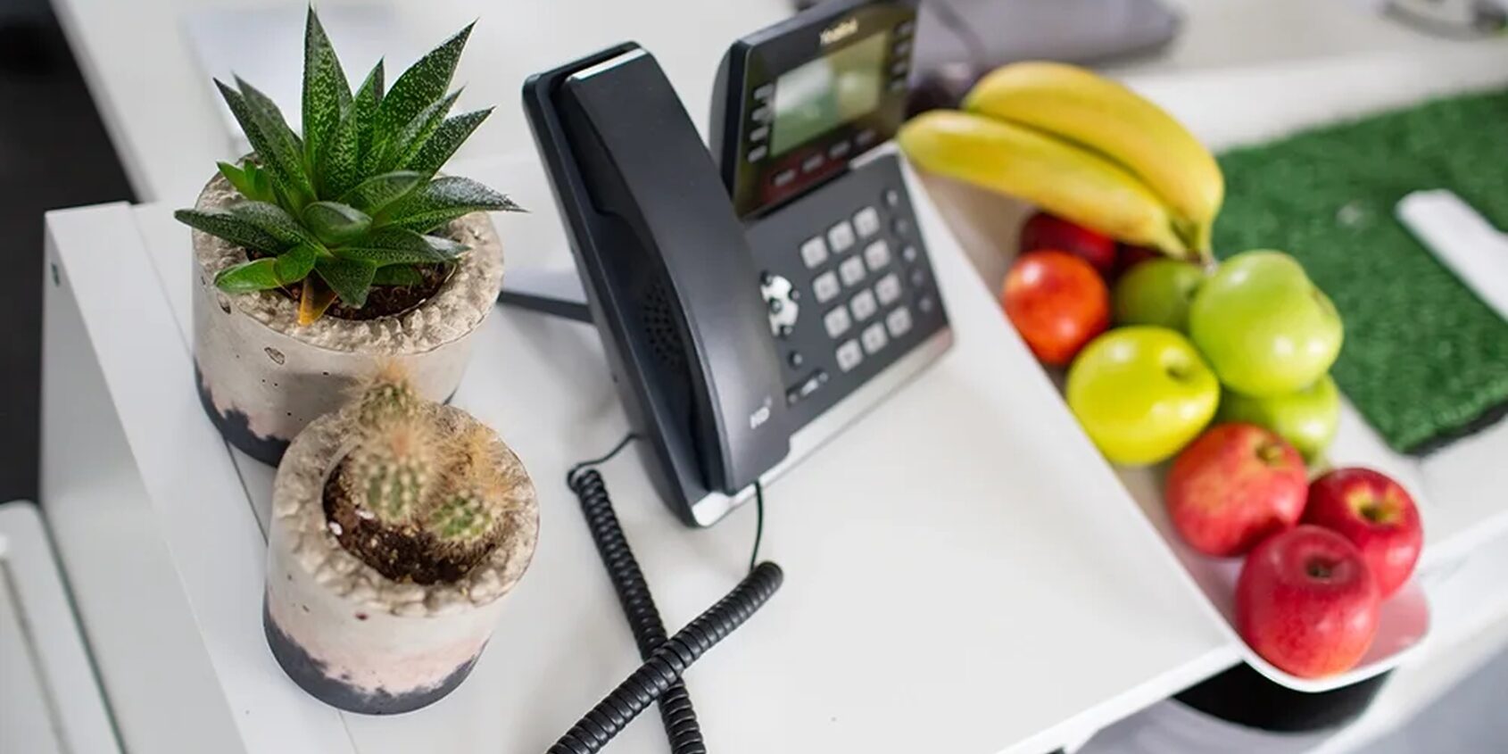 Nottingham office decor phone fruit cartwright